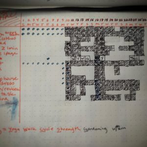 Shannon's morning routine tracking page in her bullet journal